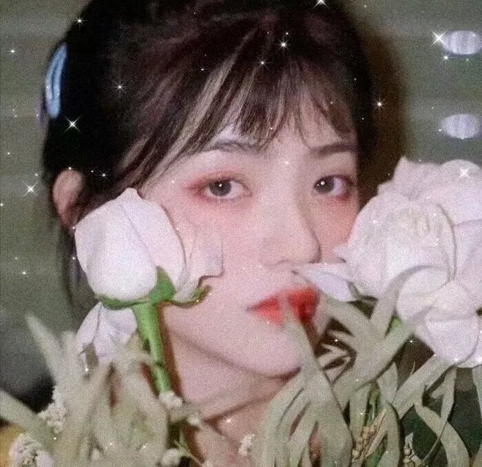 美女食神